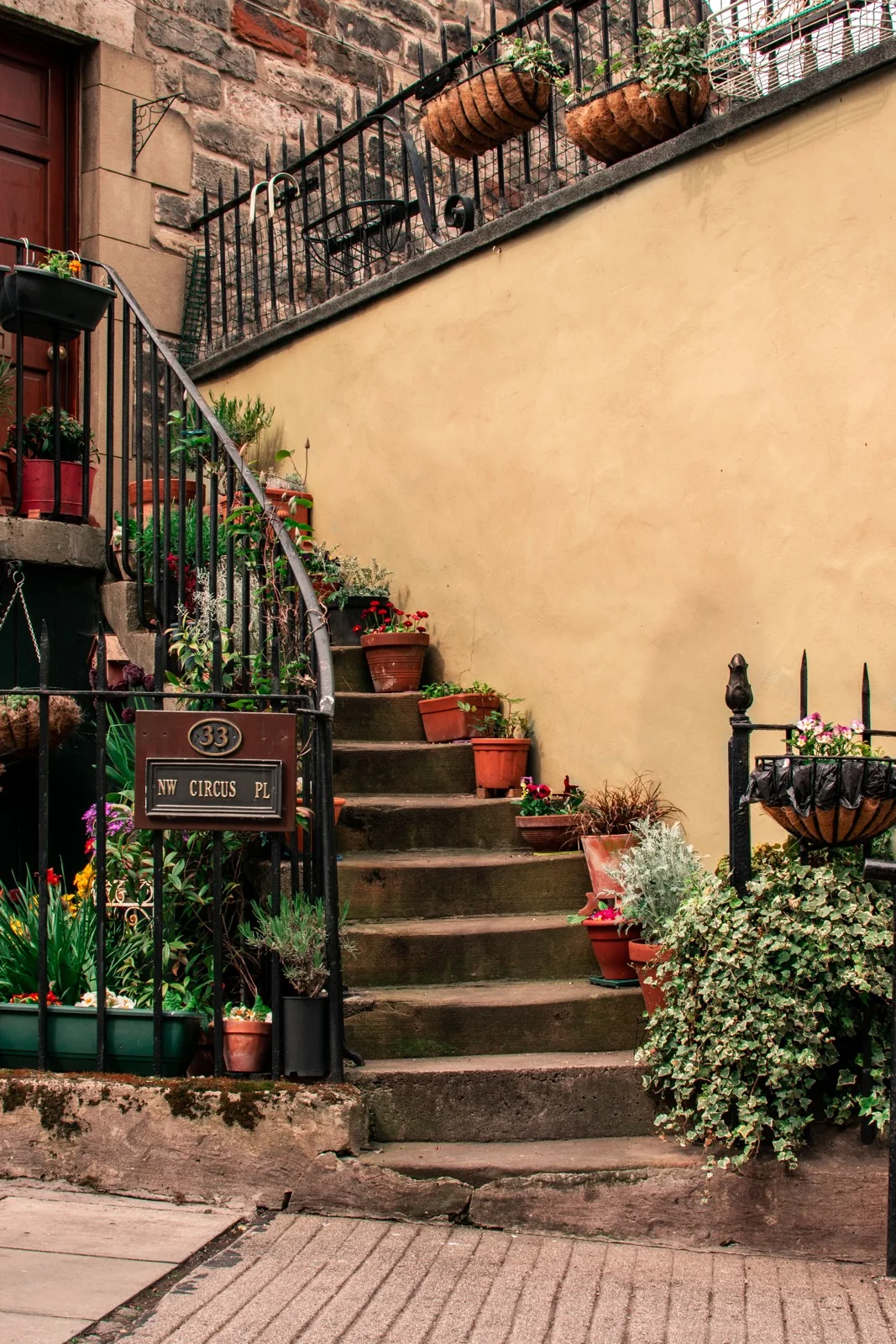 Steps and flowers