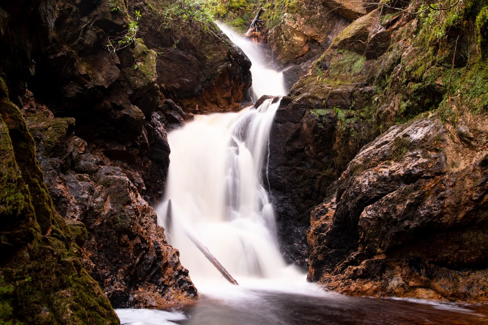 The woodland cascade